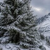 Peisaj de iarnă în România’s Carpathian