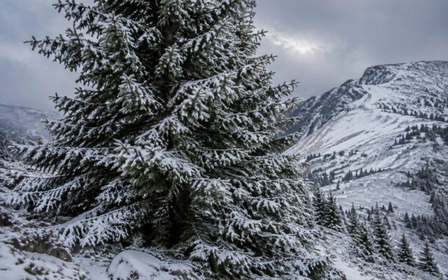 Peisaj de iarnă în România’s Carpathian